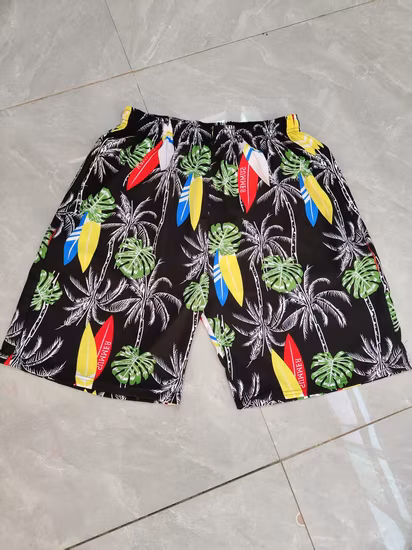 Slip De Bain Homme Maillot De Bain Homme Short De Bain Maillot De Bain Bermuda Surf Beachwear